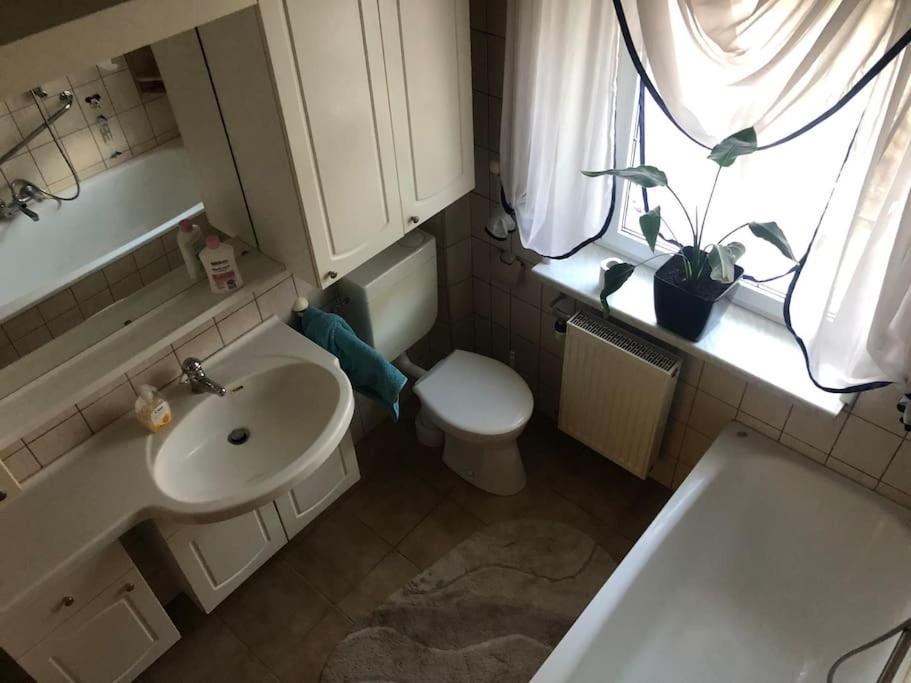 Ferienwohnung In Golssen/Spreewald, Tropical Island المظهر الخارجي الصورة